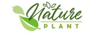 Nature Plant